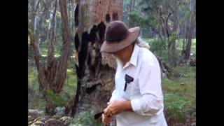 Famous How To Throw A Tomahawk  For beginners  By Keith H  Burgess  Part One Wealth