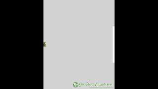 32 inch Artificial Silk Butterfly Branch in Blue and Black