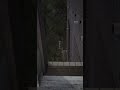 openhouse l Boundless280 l 日常感覺 2026.05.30 - 31 10:00 - 17:00 @urcygnus