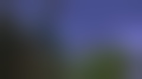 avatar James Cameron psp game