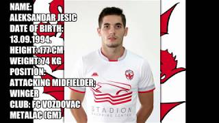 ALEKSANDAR JESIC - HIGHLIGHTS