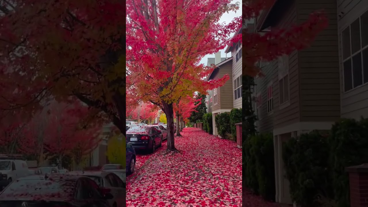 Walking on a red carpet... 