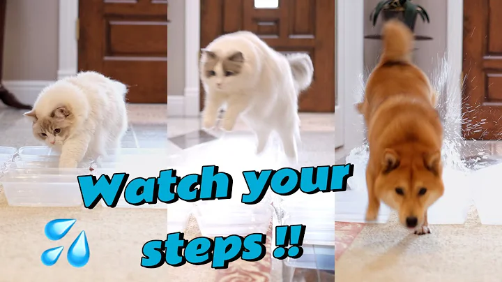 Watch the video about Water Minefield Challenge! Watch Out!