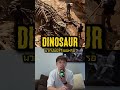 ที่มาของ ไดโนเสาร์ #ไดโนเสาร์ #dinosaur #jurassicpark #jurassicworld #NerdTheory #MondayMysteryClub
