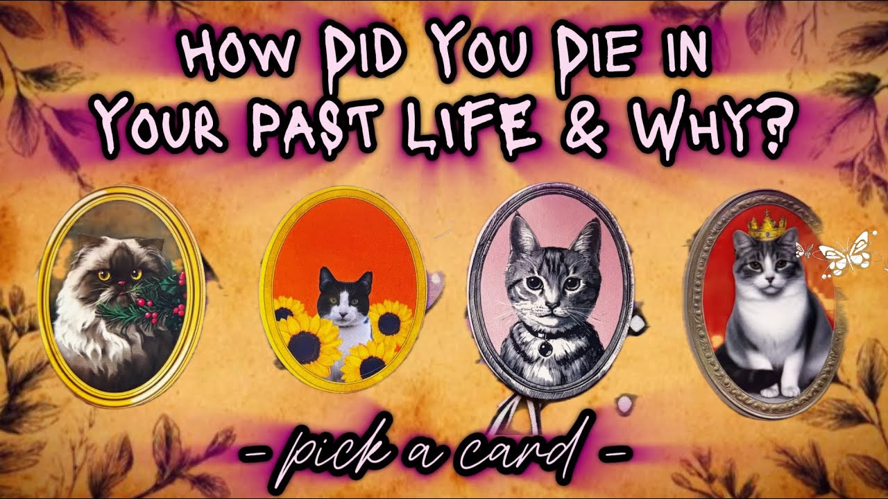 ☕️ Your Past Life Death 💀 - pick a card - (timeless)