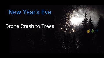 Drone Rescue After Crashing into Trees - DJI Mavic Mini