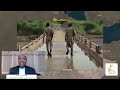 يسن أحمد: تيغراي بلا جبهة تيغراي: ماذا تخفي الزيارة الأمريكية إلى إثيوبيا؟