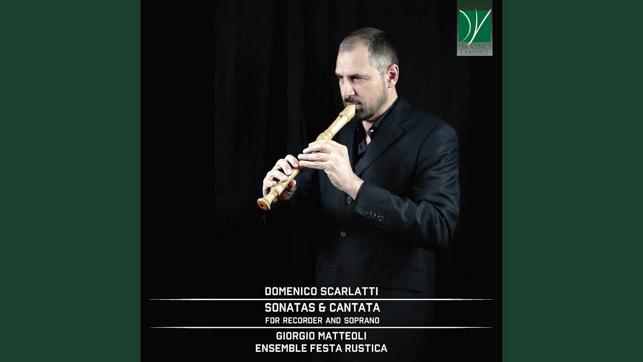 Sonata in D Minor, K. 89: I. Allegro