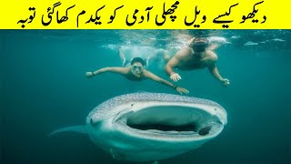 اللہ نے دنیا کے سامنے حضرت یونسؑ والا معجزہ دہرادیا See What A Giant Whale can Do