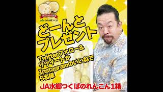 【プレゼント】JA水郷つくばのれんこん（4kg）を5名様に！応募は10/2 14:59まで。