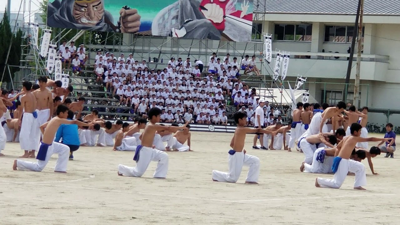 第52回 明善高校大運動会2018青組タンブリング - YouTube