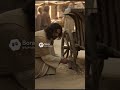 Daily Bible Posts ✝️ Uplifting Words of Jesus and more!🙏 #Jesus #Bible #Faith