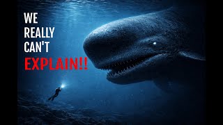 Sperm Whales Shouldn't Exist… and Science Knows It!
