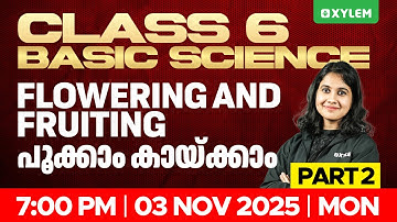 Class 6 Basic Science | Flowering and Fruiting പൂക്കാം കായ്ക്കാം Part 2 | Xylem Class 6