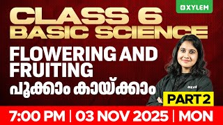 Class 6 Basic Science | Flowering and Fruiting പൂക്കാം കായ്ക്കാം Part 2 | Xylem Class 6