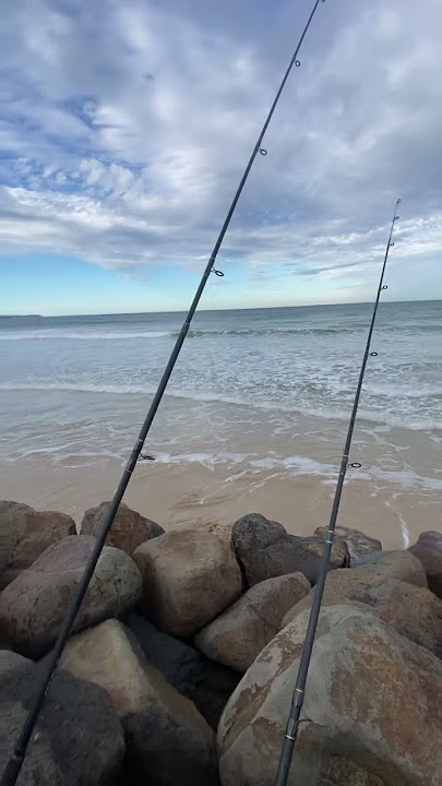 ANGLESEA - Victoria, Australia 🇦🇺 🐟 🎣 #aussiesalmon #victoria #fishingvictoria