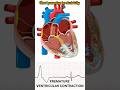 #heart#heartbeatharmony#heartanatomy#heartfunction