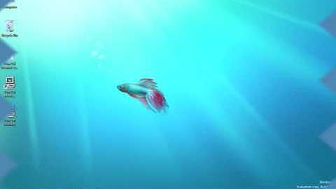 Windows 7 Multiple Monitors