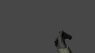 FPS Empty Reload Animation