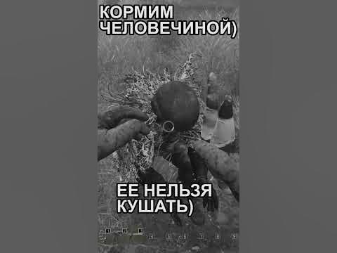 ЗАСТАВИЛ ВСТАТЬ НА КОЛЕНИ🤣🤣🤣 - YouTube