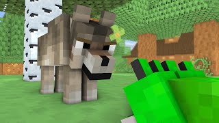 WOLF LIFE: MOMMY HATES POOR PUPPY BECAUSE HE IS DIFFERENT by Cubic Animations 54,928 views 4 months ago 29 minutes