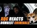 XQC REACTS TO AMERICAS DUMBEST CRIMINALS with Chat | Episode 2