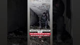 Something Dark Lives Down Here & Likes To Be Leftalone Watch How Intelligent It Is