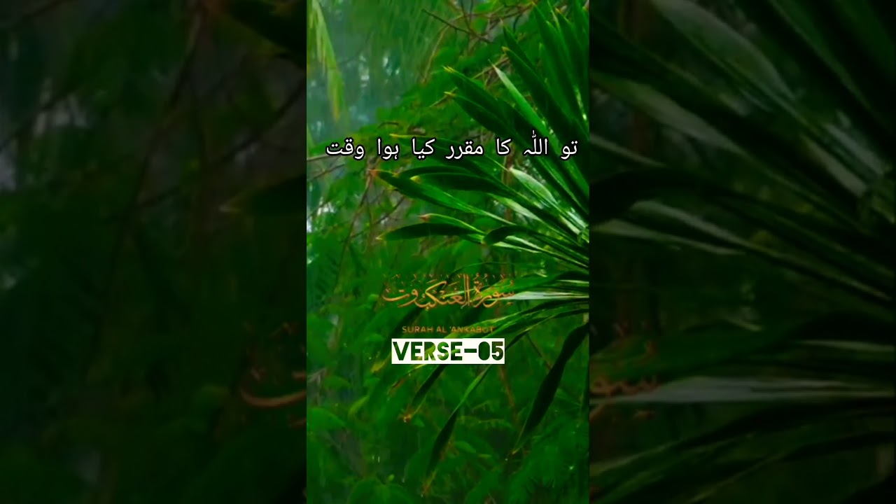 Islamic Shorts || Islamic Status || Whatsapp Status || 