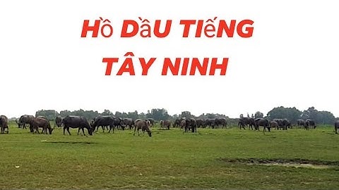 Hướng dẩn đường vào bải câu cá _ bải đá bến quỷnh hồ dầu tiếng Tây Ninh @caudaotv7173