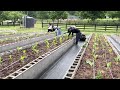 Farm garden and produce straitway