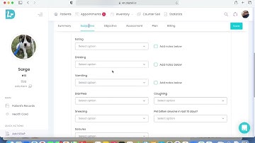 SOAP Preview and its subsections