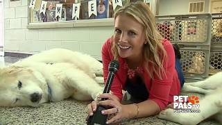 7/14/19 episode: Bentley's Buddies