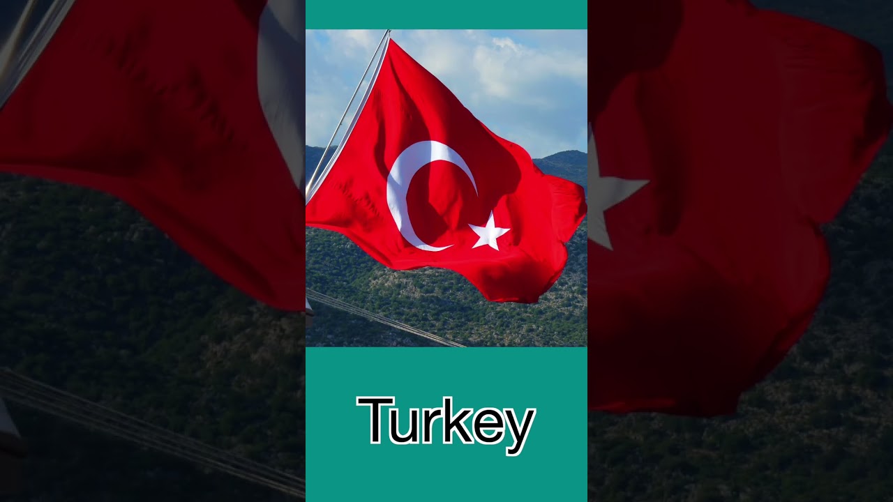 High Speed Flash Card - Country Flags Part 1; Heguru, Shichida; Right Brain Stimulation Training