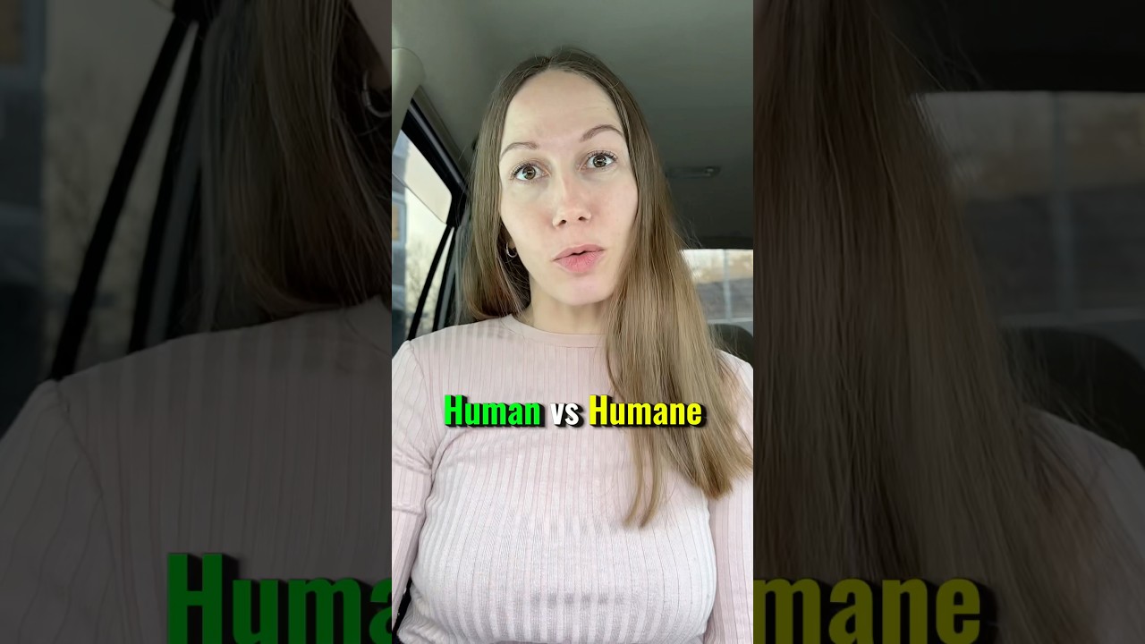 Human(e) Читай описание ⤵️ качай английский со мной, подписывайся ✅