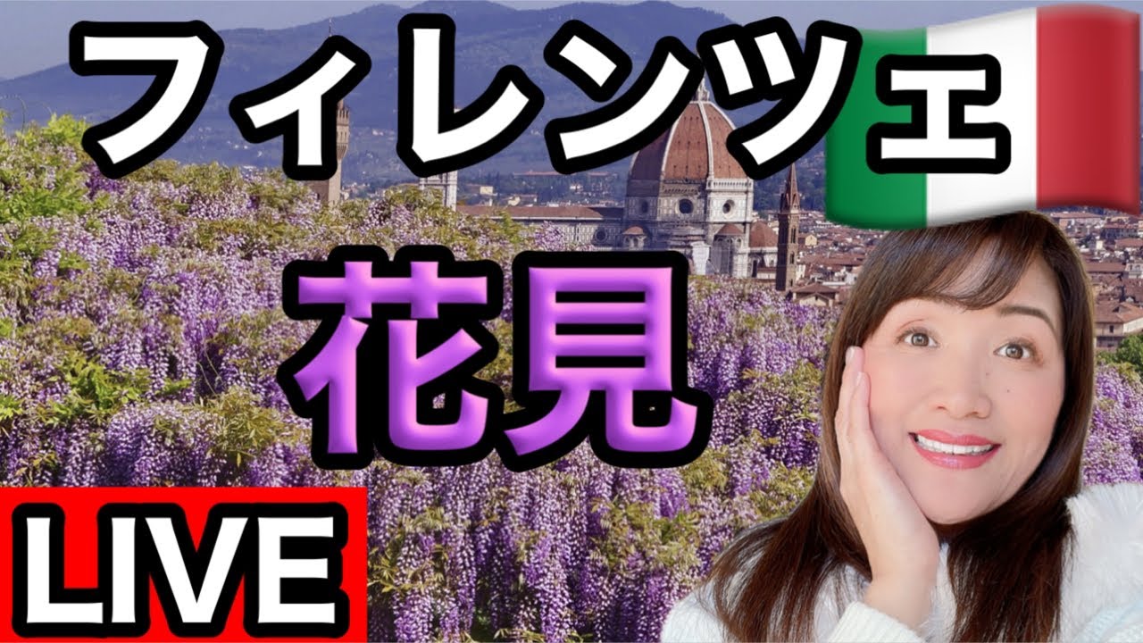 Live Streaming] It's spring! It's cherry blossom viewing! Live