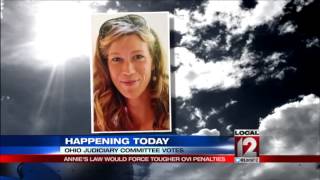 Vote on Annie's Law for Ohio drunk drivers