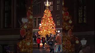 Kerst tussen de sterren - Amsterdam 🎅🏻🌲🎁 Winterpakketten 2026 - Nederland