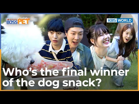 🎉Who’s the <strong>final</strong> winner of the dog snack?🏆 [Boss Pet : <strong>EP</strong>.10] | KBS WORLD TV 220930