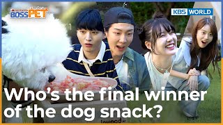 🎉Who’s the final winner of the dog snack?🏆 [Boss Pet : EP.10] | KBS WORLD TV 220930