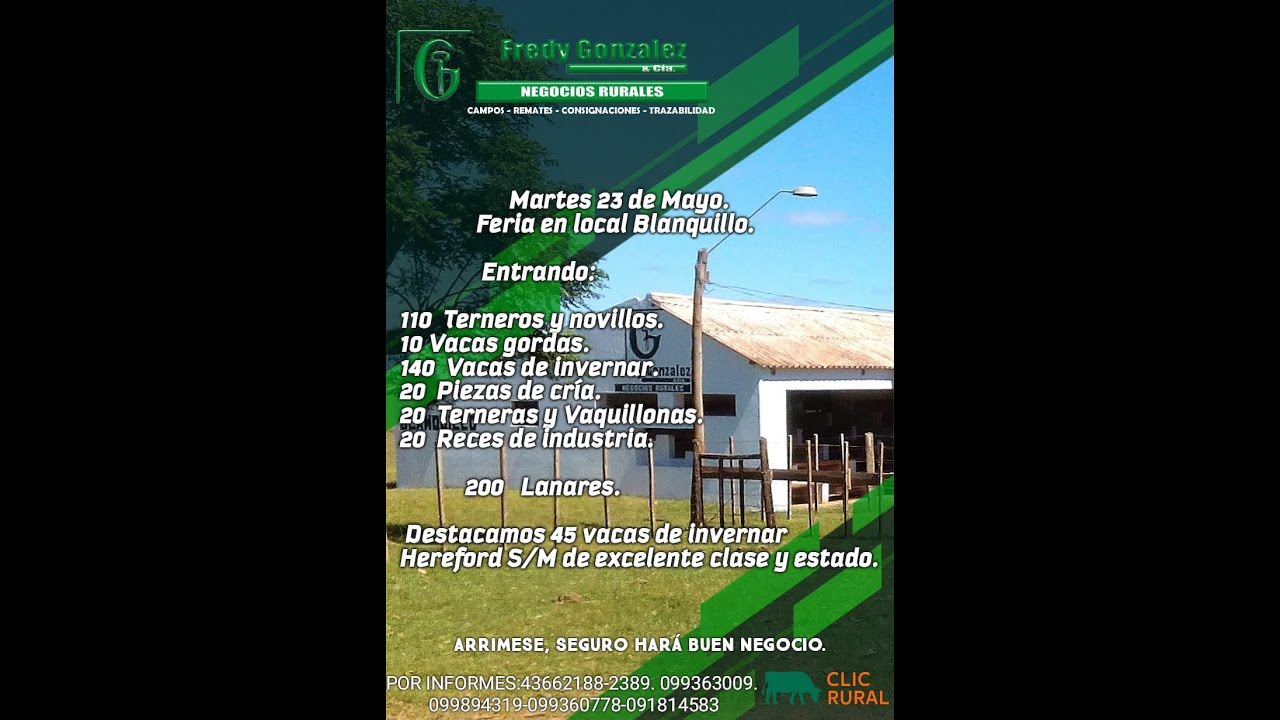 23/05/2023 Blanquillo Fredy González y Cía Ltda YouTube