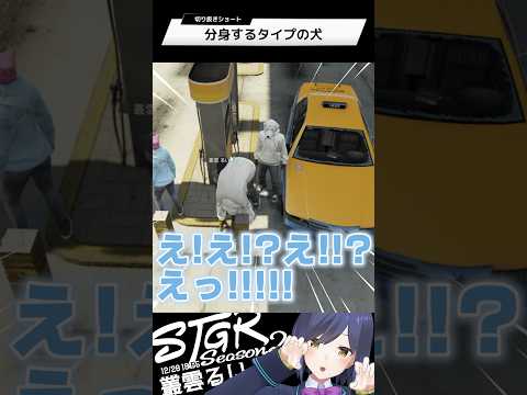 分身するタイプの犬 | ストグラ | 静凛 #shorts