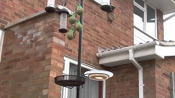 Raspberry Pi High resolution time lapse