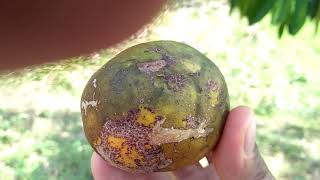 Petualang Gadis Deso, Dengan Ransel Keren Dari Kain Sarung