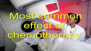 Integrative activity 4.wmv