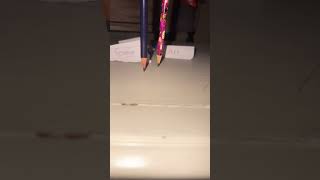 #cat walk #lol #tookmeforeverlol #helpmemakethismakesense #slay #what a baddie!💗🎀🍓🦆🩷🍪🧋