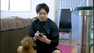 【1ヶ月筋トレ塾】DAY17　胸の張りを出す腕立て伏せ Runtastic PushUps