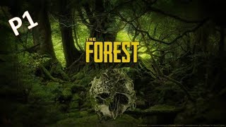 The forest 森林-住在山洞旁边
