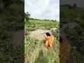 How beautifully a woman fishes from a pool of water | amazing hook fishing in the canal | #shorts