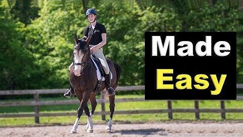 SIDEPASS A HORSE | How to Teach 😊 🐴