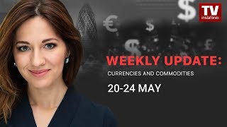 Market dynamics: currencies and commodities (May 20 – 24)